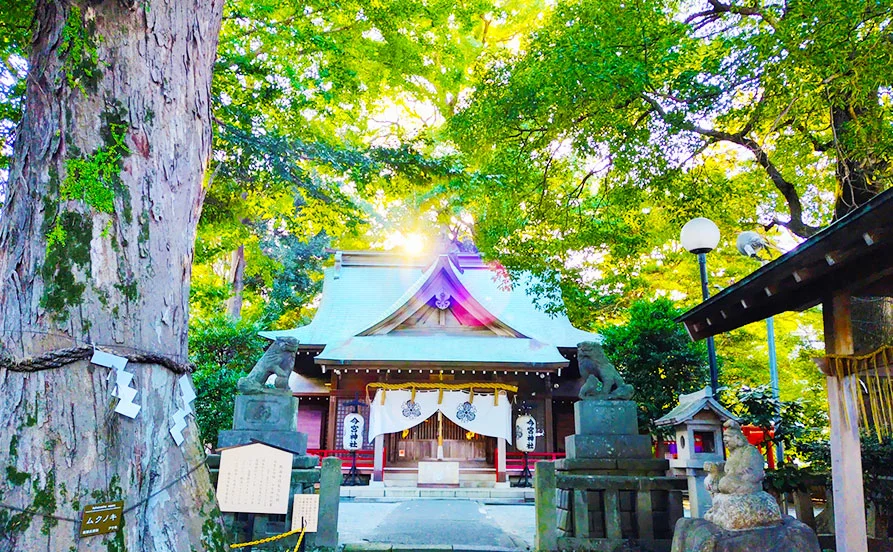 求人メイン