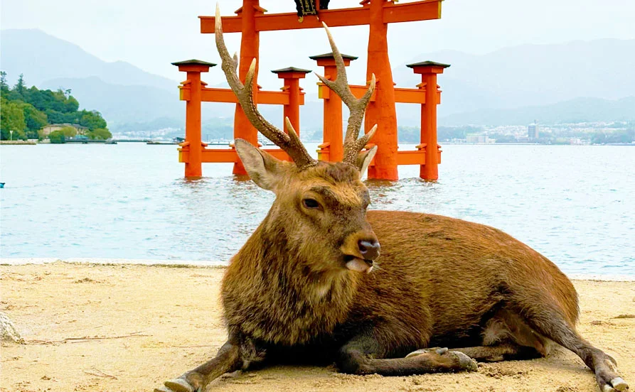 求人メイン