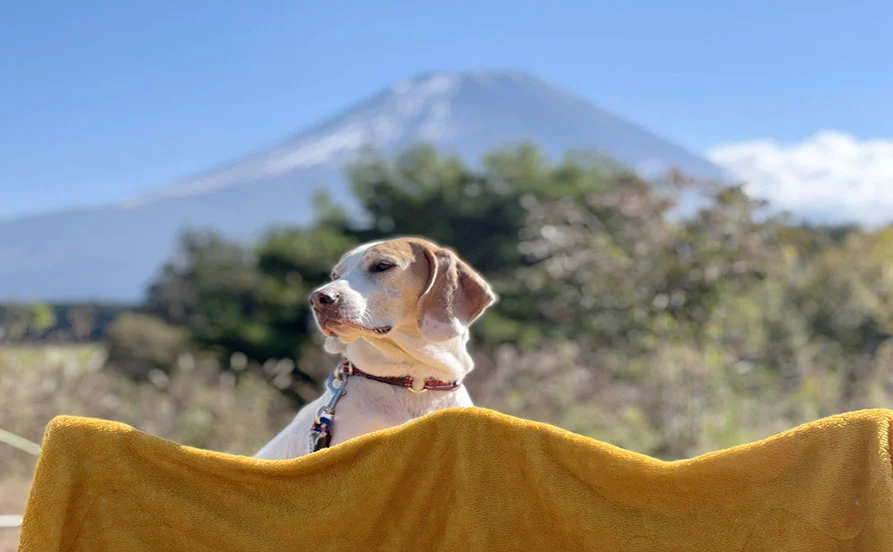 求人メイン