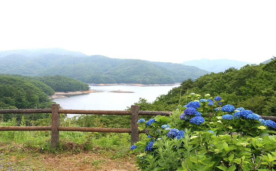 求人メイン