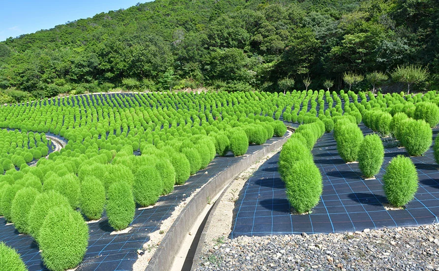 量環境画像（右下の画像）