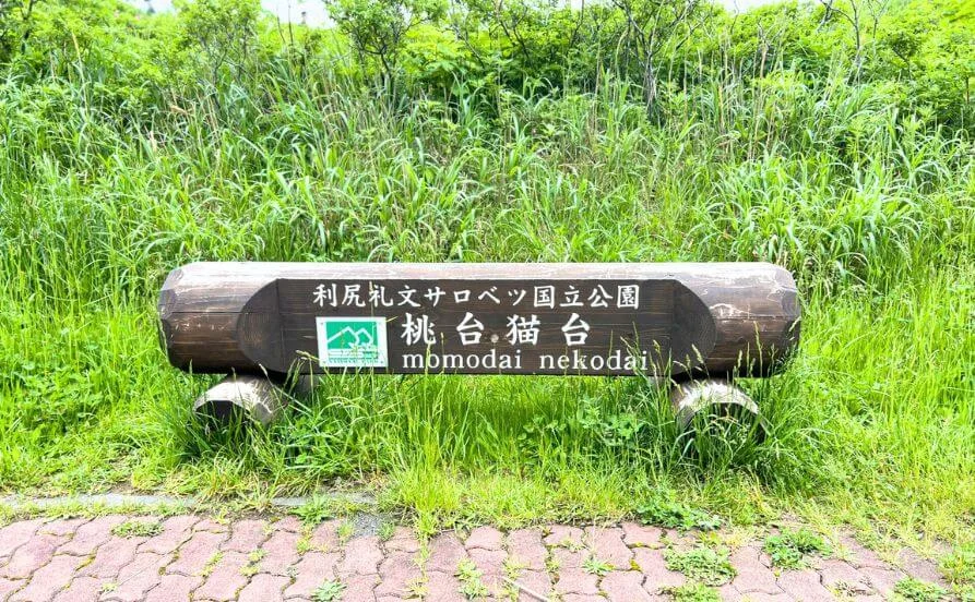 求人メイン