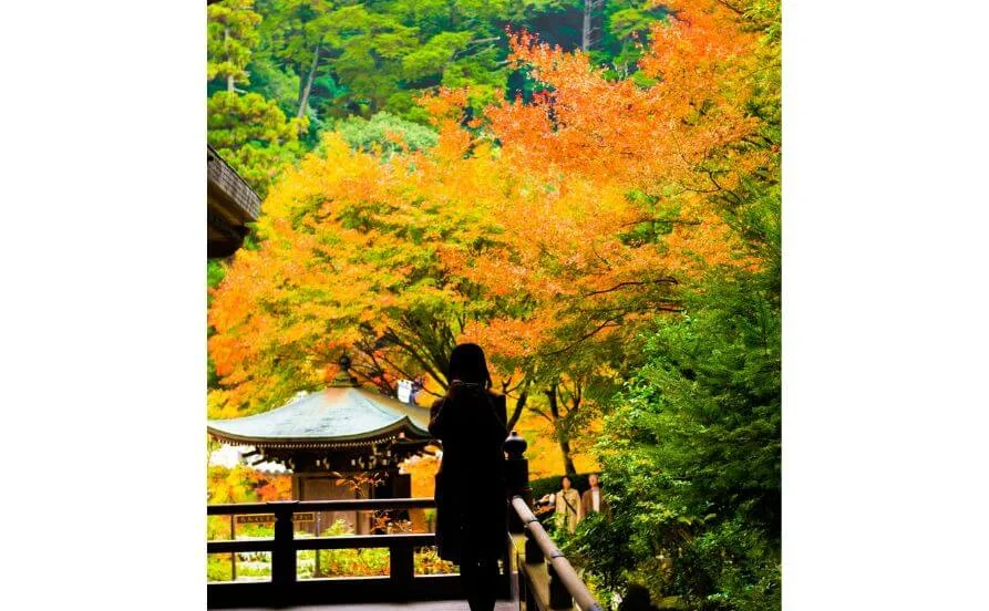 求人メイン