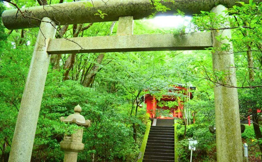 求人メイン
