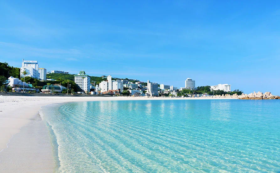 【生活リズム安定の通しシフト👍】未経験歓迎！目の前が海の南紀白浜☆ 大型リゾートホテル