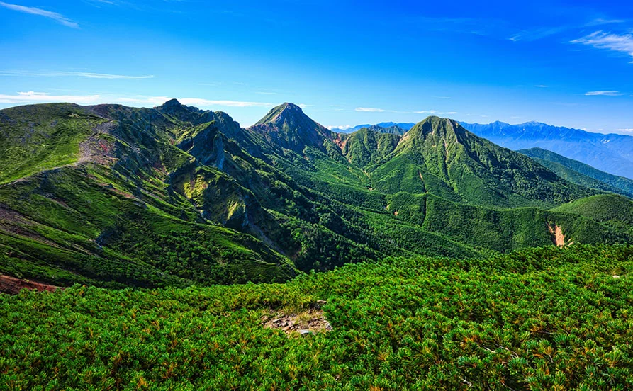 量環境画像（右下の画像）