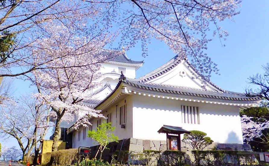 求人メイン