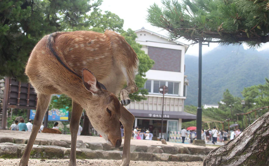 求人メイン