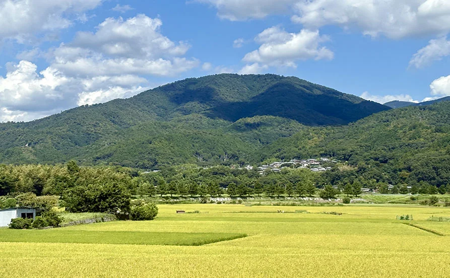 求人メイン