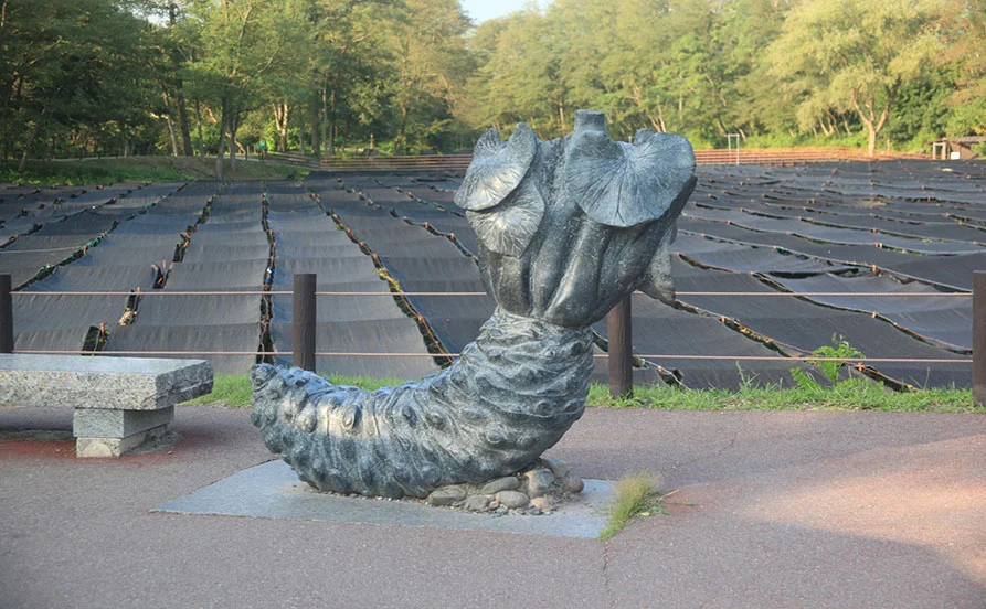 量環境画像（右下の画像）