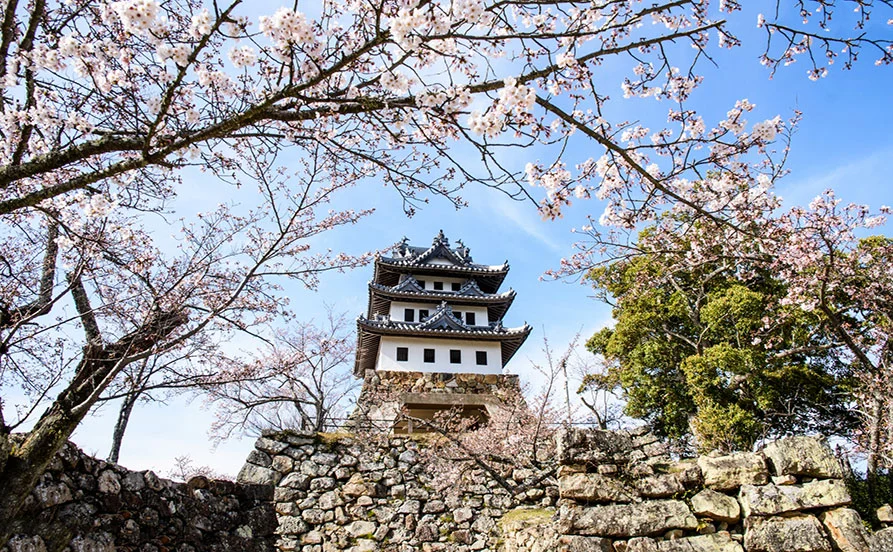 求人メイン