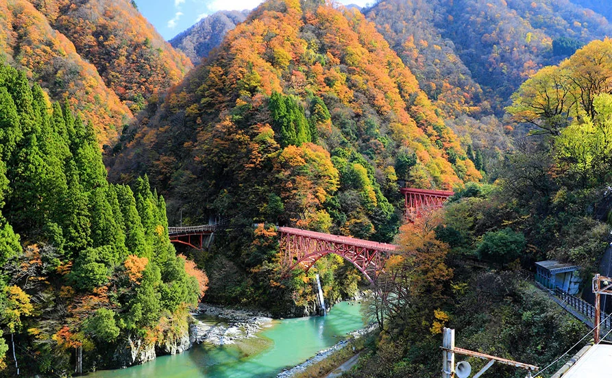 求人メイン