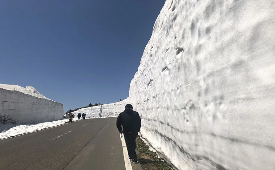 求人メイン