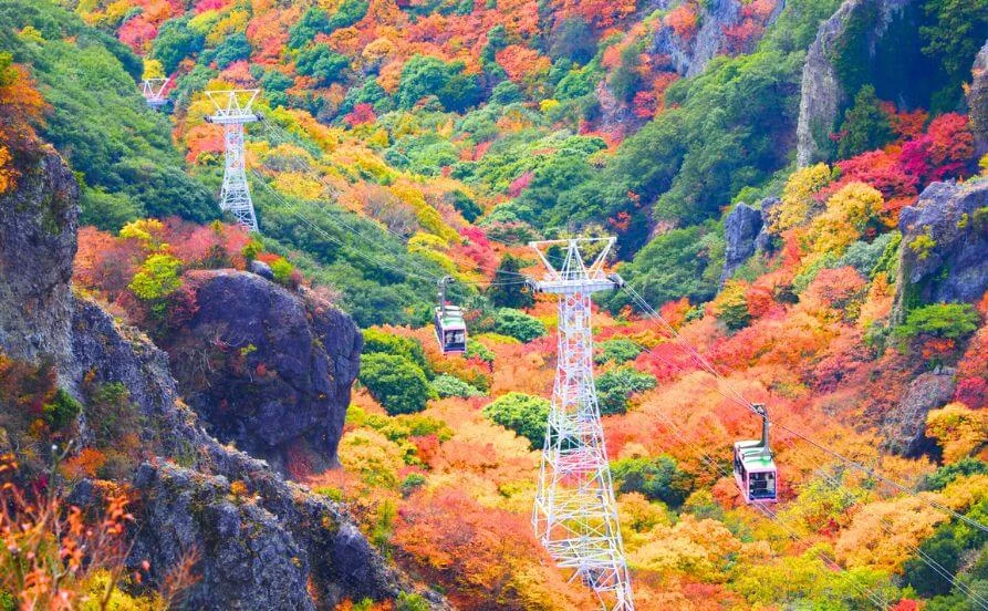 求人メイン