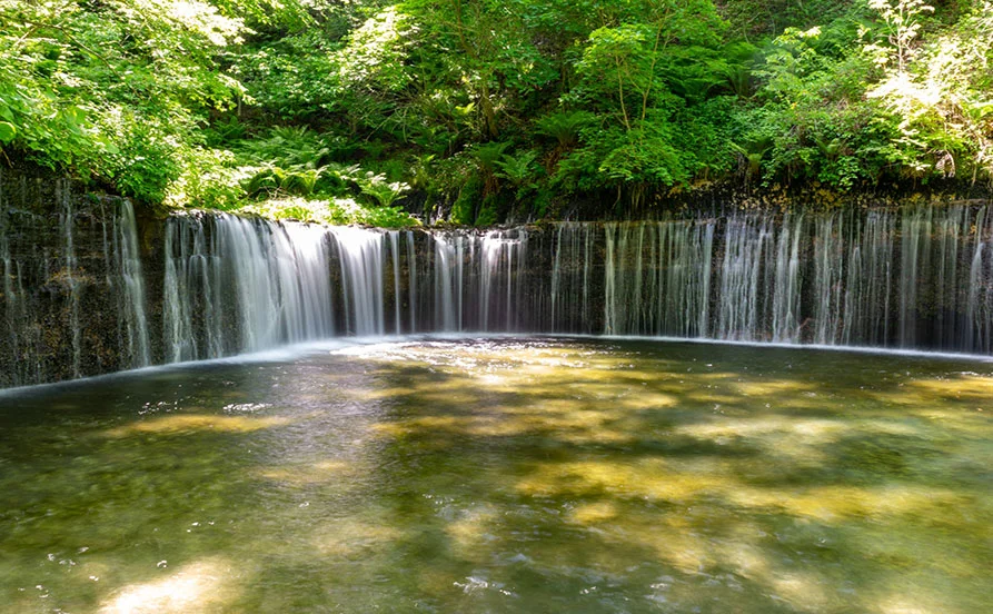 求人メイン