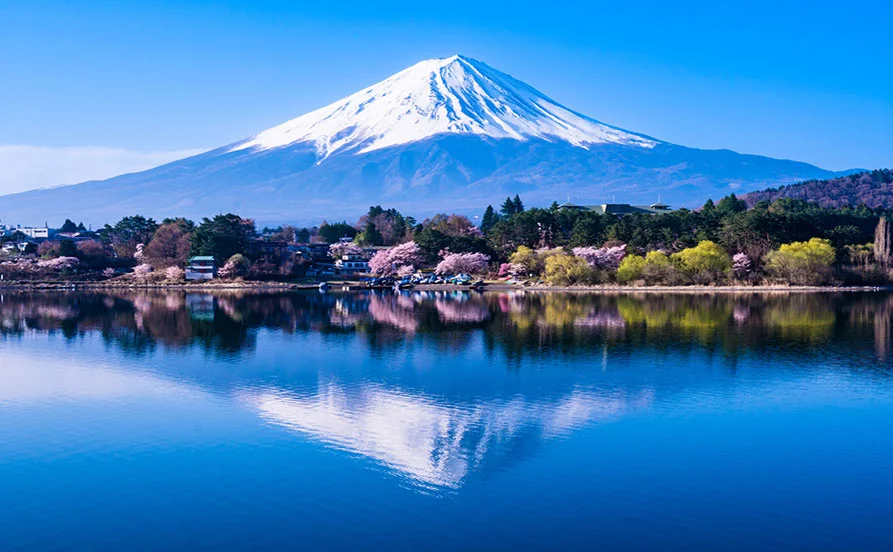 求人メイン