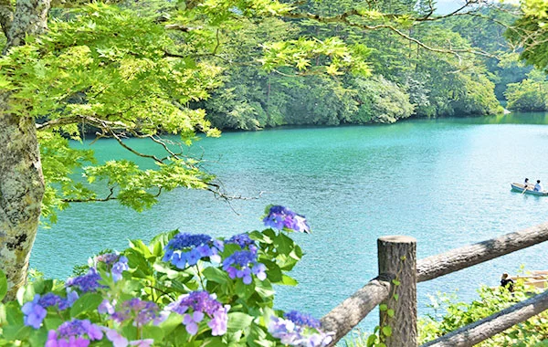 求人メイン
