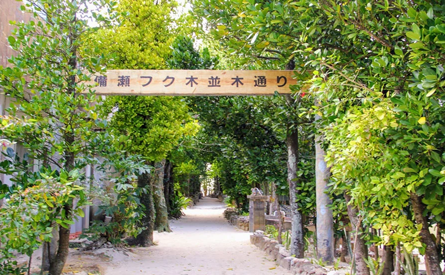 求人メイン