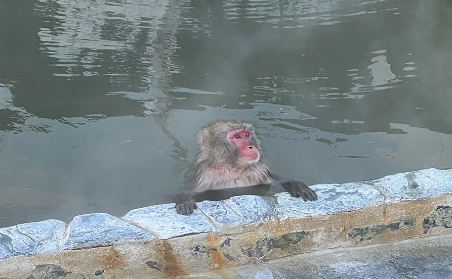 求人メイン