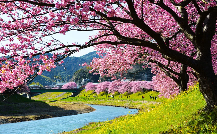 求人メイン