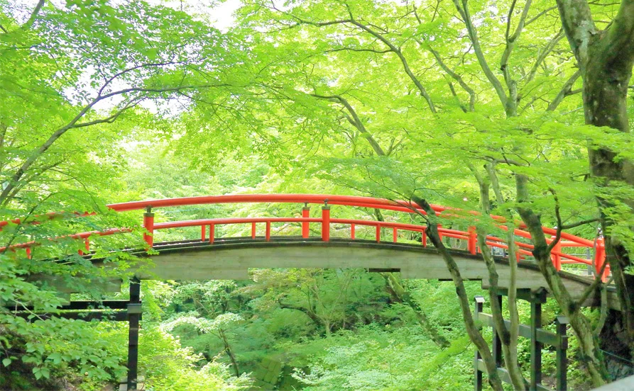 求人メイン