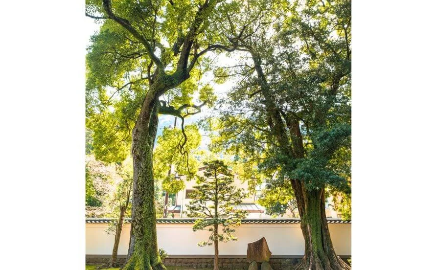 求人メイン