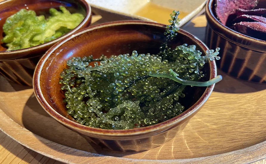 求人メイン