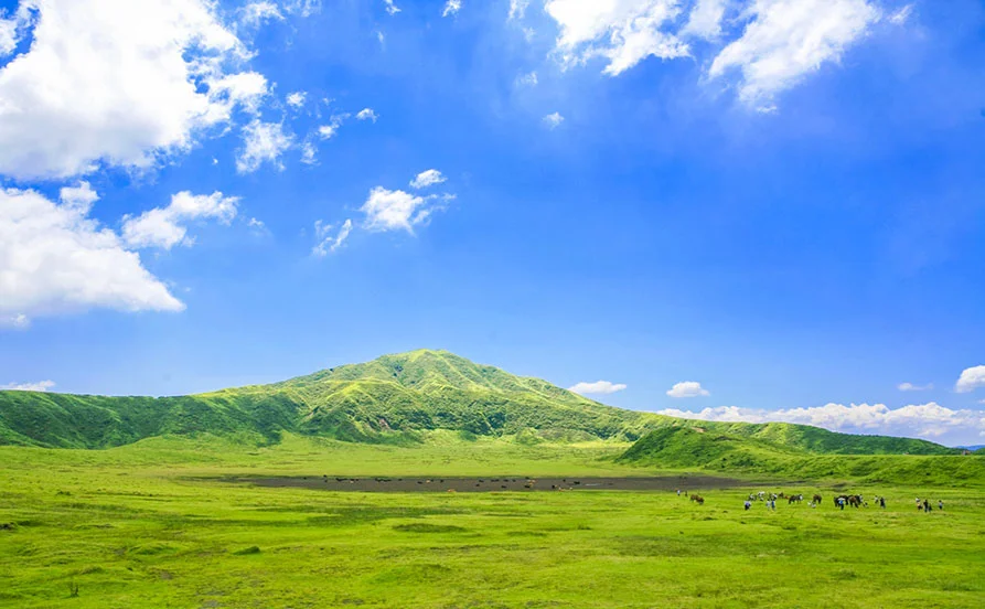 寮は旧客室を利用✨＼休日は阿蘇観光⛰️／自然を満喫できるリゾートバイト！