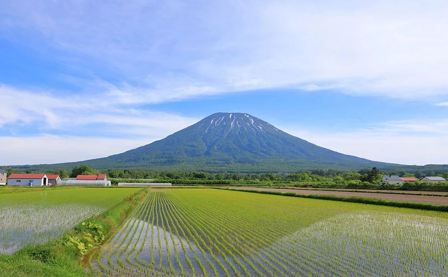 量環境画像（右下の画像）