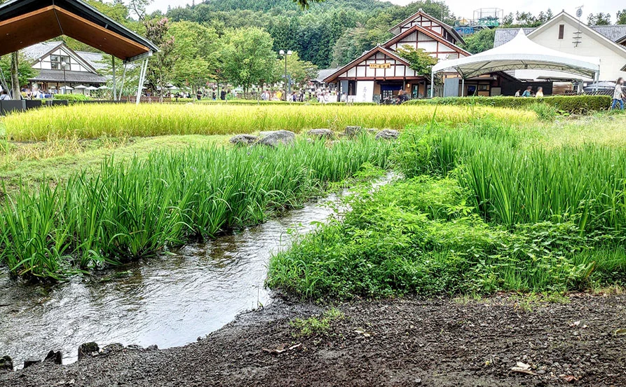 求人メイン