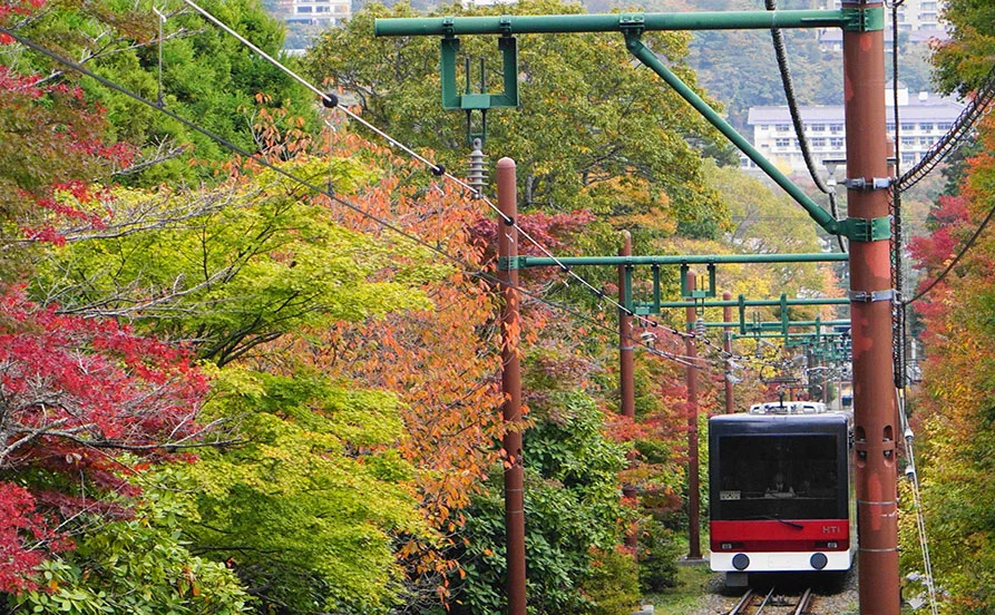 箱根の玄関口・箱根湯本駅から徒歩2分★️【落ち着いた雰囲気の旅館】温泉入浴無料で疲れもスッキリ！