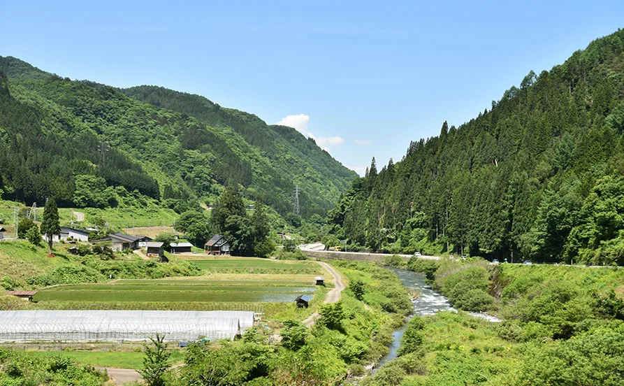 求人メイン