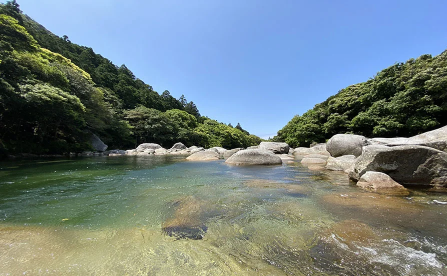 求人メイン