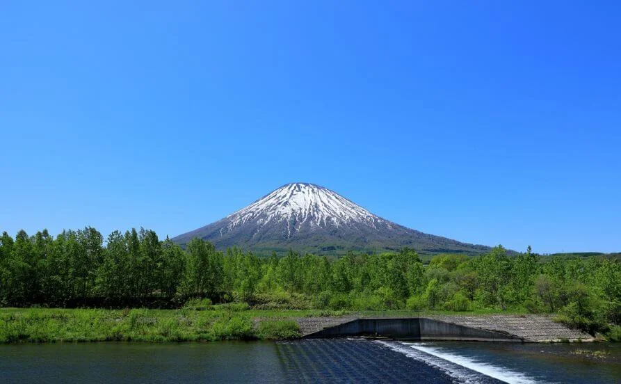 求人メイン
