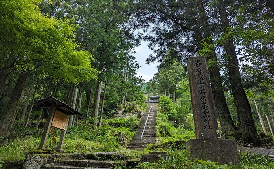 求人メイン