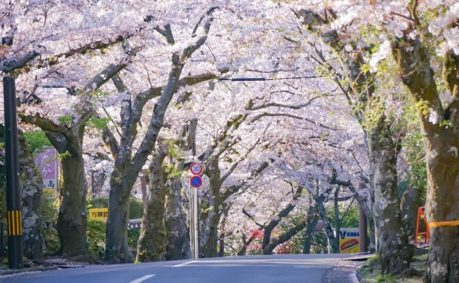 求人メイン