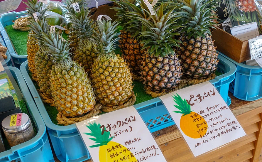 求人メイン