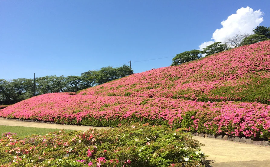 求人メイン