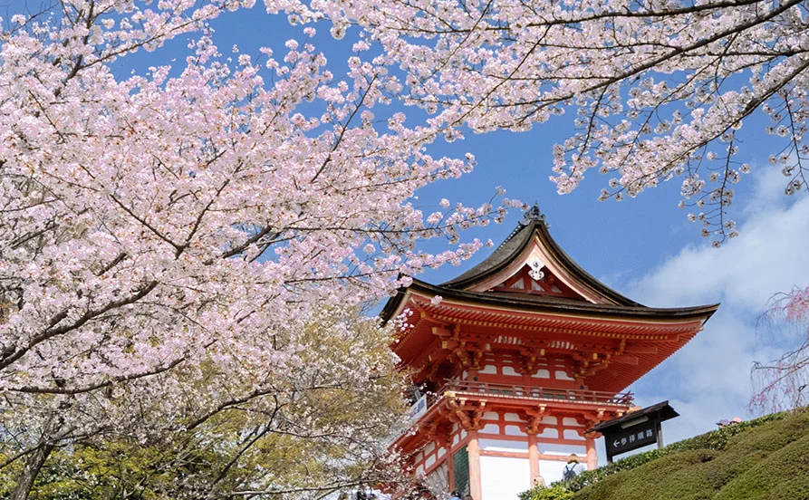 求人メイン