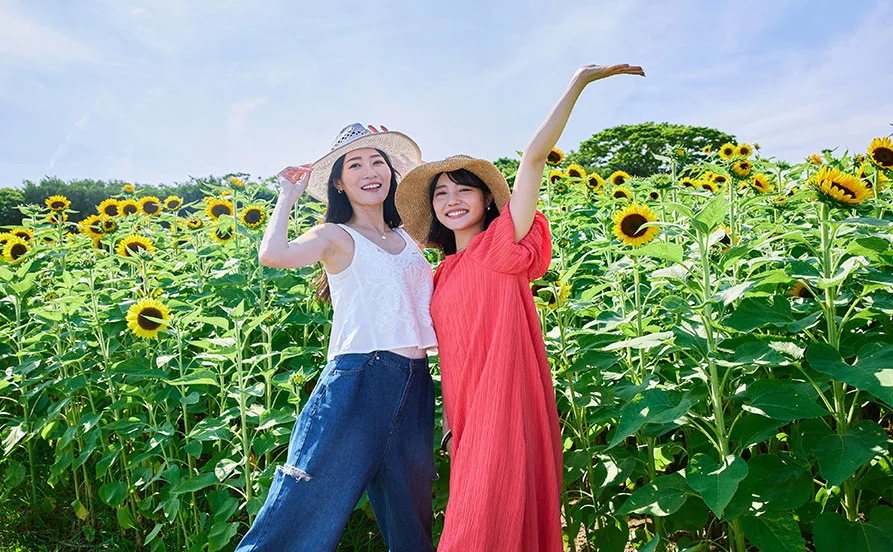 求人メイン