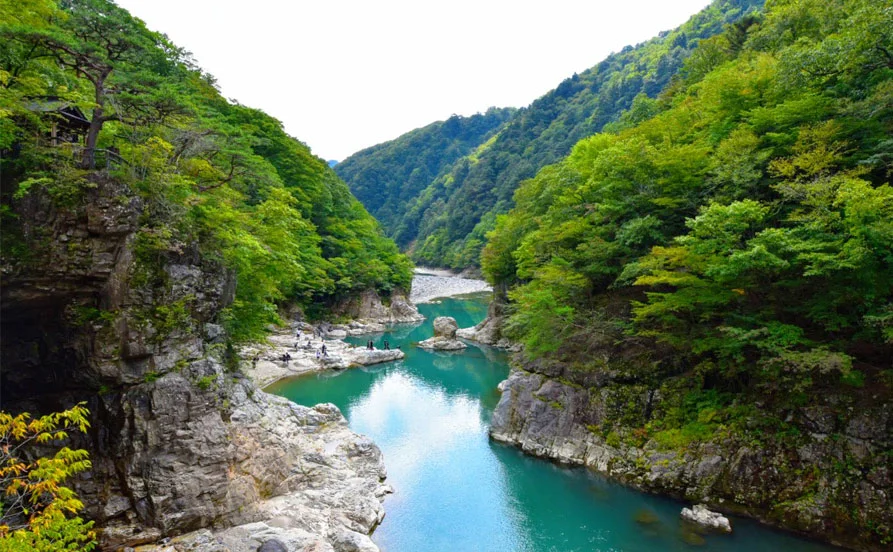 求人メイン