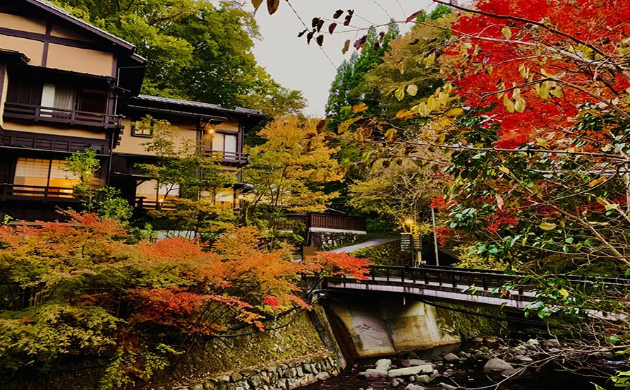 【休日も3食付き】寮費無料＆個室寮♪黒川温泉の自然に囲まれた旅館♨