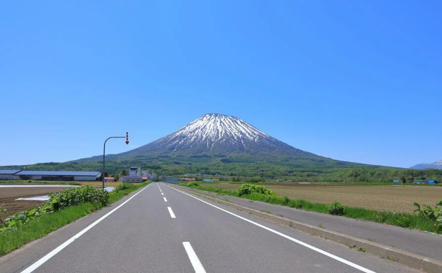 求人メイン