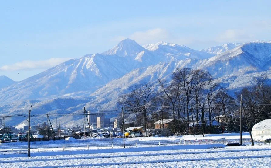求人メイン