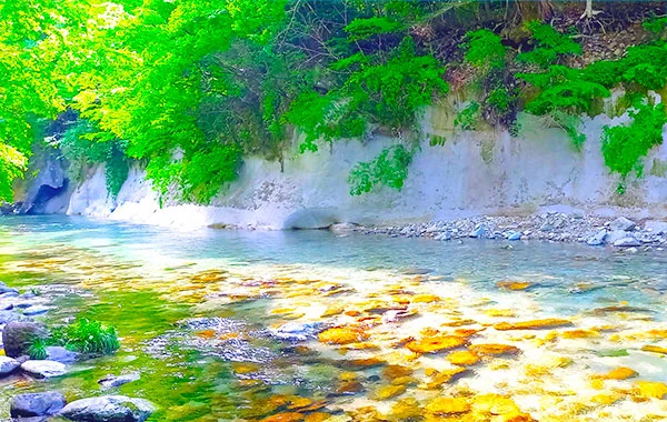 求人メイン