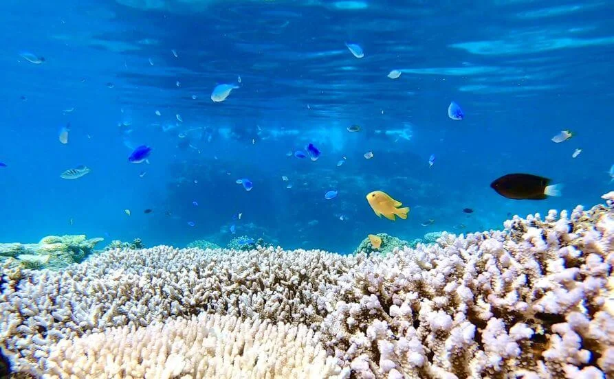求人メイン