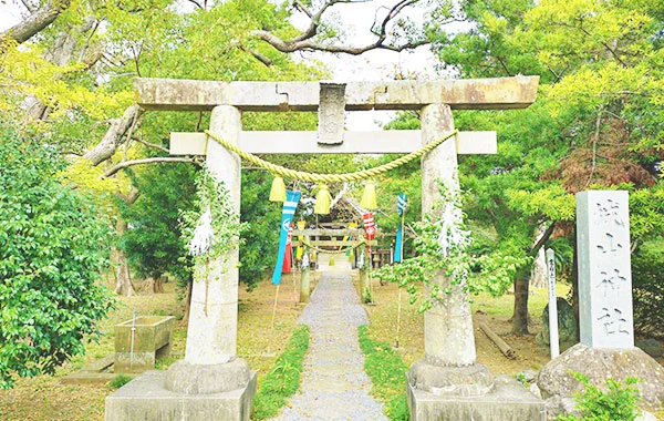 求人メイン
