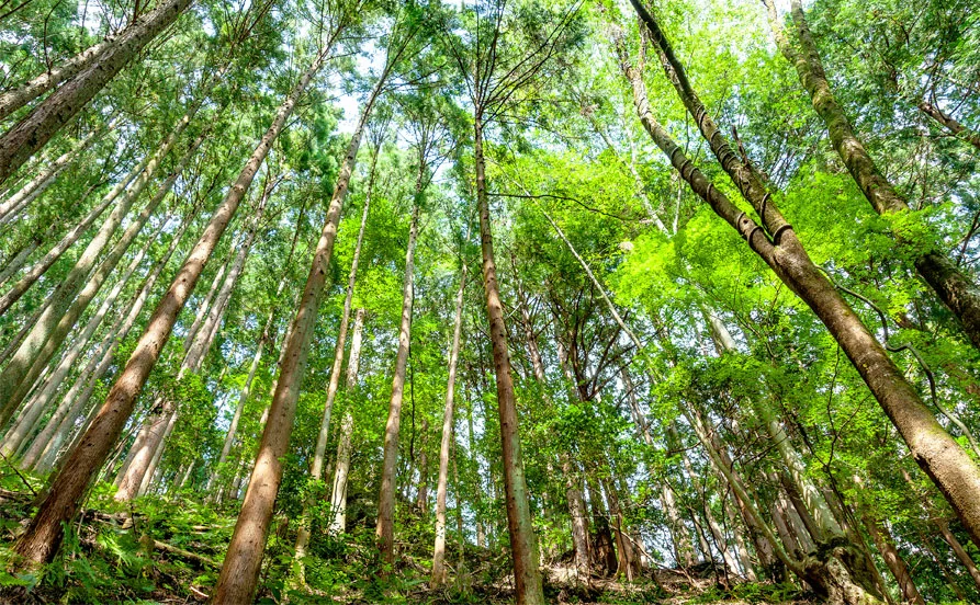 求人メイン