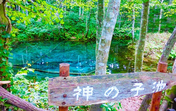 求人メイン