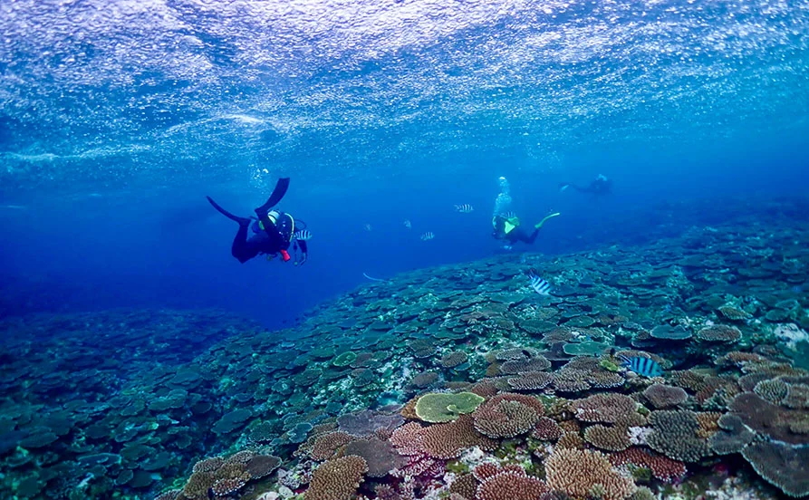 求人メイン